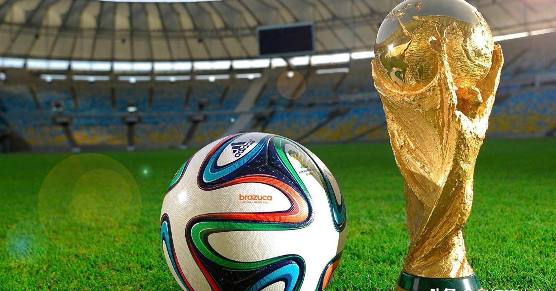 赛中的临场 赛中的临场