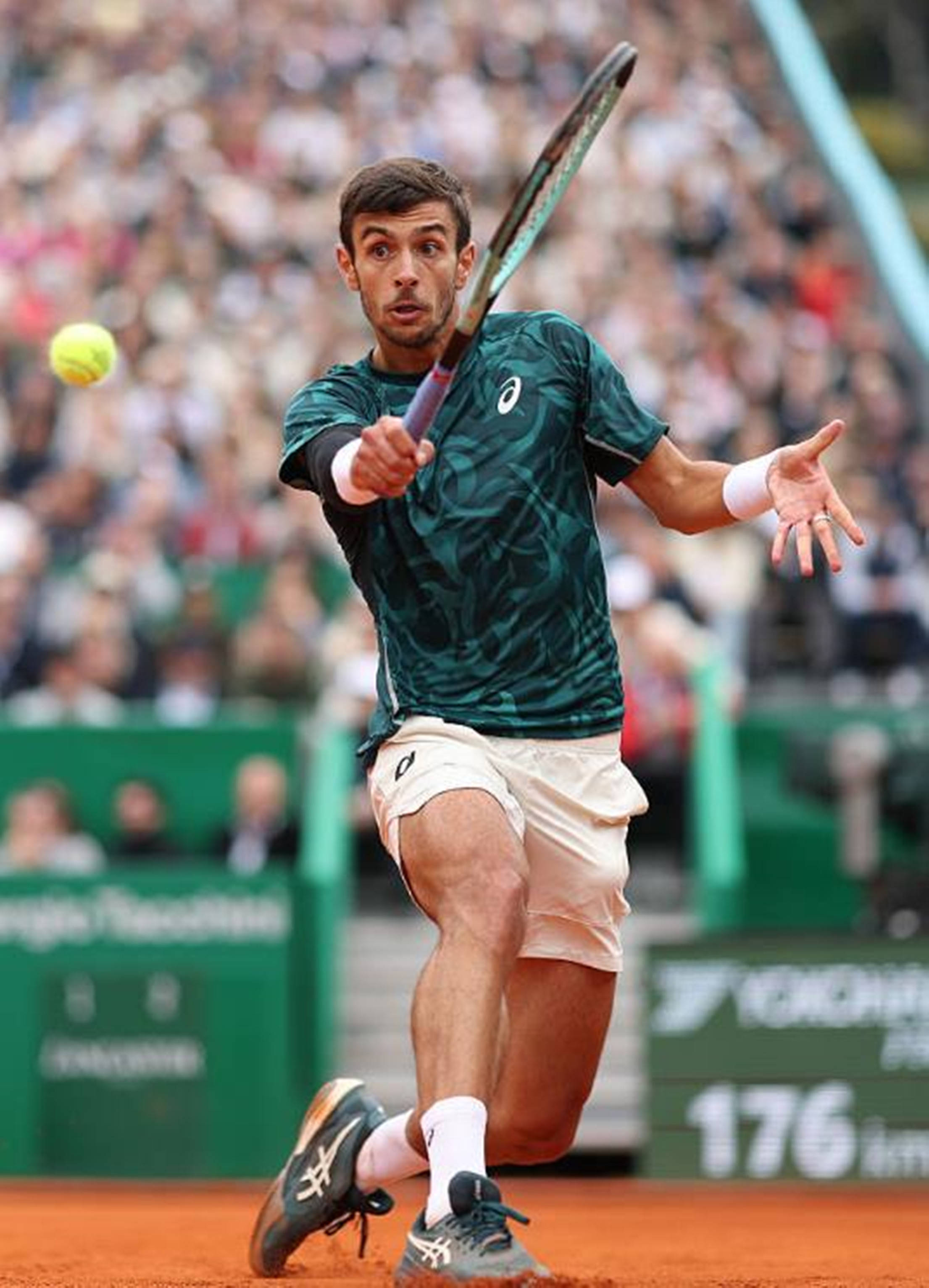 海港队展现 海港队展现