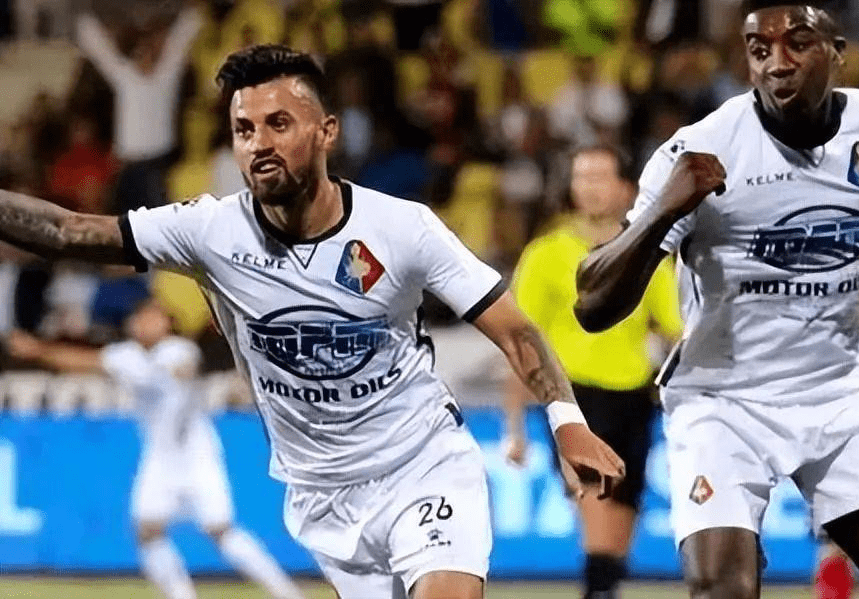 以应对类似 以应对类似