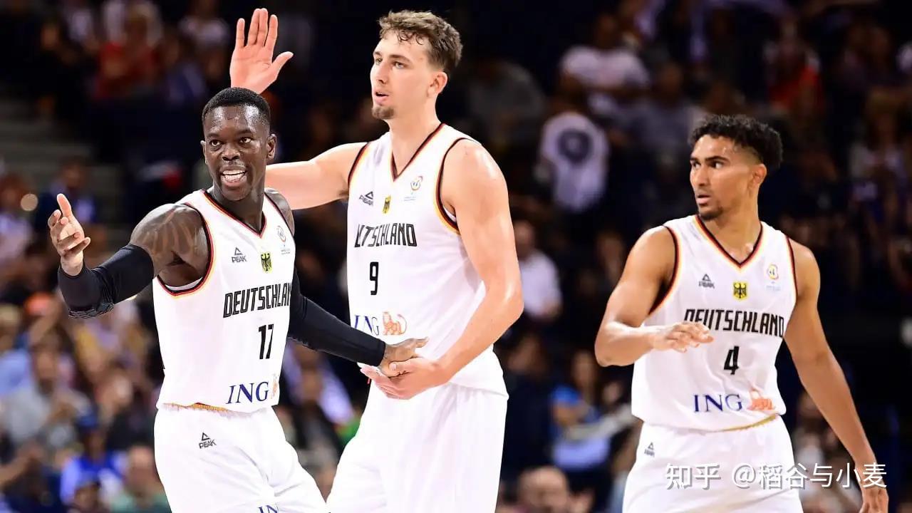 新引入的动 新引入的动